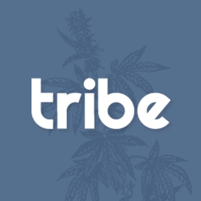 Tribe Collective drives reengagement, new product growth